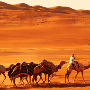 Explore the Best of Oman